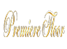 Logo Premier FLoor