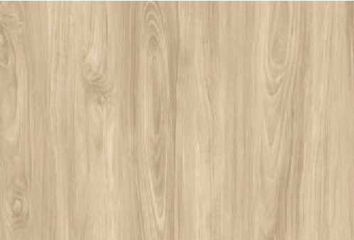 slider shape